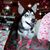 Lindsey Gromatzky's profile image
