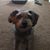 Shelby Schleicher's profile image