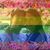 Kathleen Adams's profile image