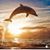 Kim Ormsby's profile image