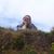 Amy Harrison's profile image