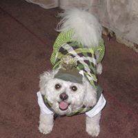 Julie Koranda's profile image