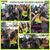 LoriAnn Bongiorno-Primo's profile image