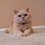 Mitchell Wolinsky's profile image