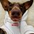 C Deneen Murray's profile image