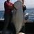 Kimberly Lanyon's profile image