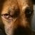 Rosario D Maria's profile image