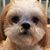 Andy Baber's profile image