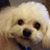 Kim Doleschal-Aramburu's profile image