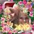 Juliene Miller's profile image