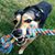 Raina Gupton's profile image