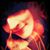 Ryan Kathleen's profile image