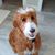 Beth Shaver Carwile's profile image