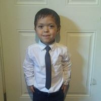 Megan Fritch's profile image