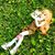 Amy Wellman's profile image