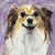 Sue Rosado's profile image