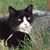 Judy Sangermano's profile image