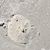Kim Smithwick-Gross's profile image