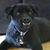 Jason Brooks's profile image