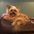 Stacy Mote Huggins's profile image