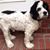 Max Hauser's profile image