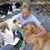 Denise Johnson's profile image