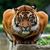 Jim Medlock's profile image