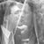 Kimberly Jo Everett's profile image