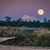 Jennifer Hessen's profile image
