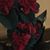 Sharon Marie's profile image