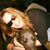 Renée Cyr's profile image