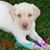 Carrie Melberg's profile image