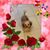Nancy Herrington's profile image