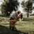 Mayra Y Edgardo Montaño's profile image