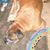 Sandee Jenkins's profile image