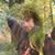 Sander Sindell's profile image