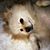 Karen Bernadine's profile image