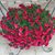 Vickie Briolat's profile image