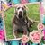 Teresa Fox's profile image