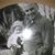 Maureen Kathan Pawloski's profile image