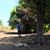 Ivy Rea Spruill's profile image