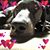 Charlene Duarte-Brannstrom's profile image