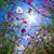 Barbara Alder's profile image