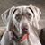 Tina Hirsch's profile image