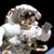 Charles Sluskonis's profile image