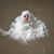 Suzie Draper Harper's profile image
