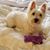 Malan Culp's profile image