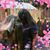 Sharon Bodiker's profile image