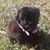 Richard T Brown's profile image