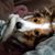 Nancy Strohl's profile image